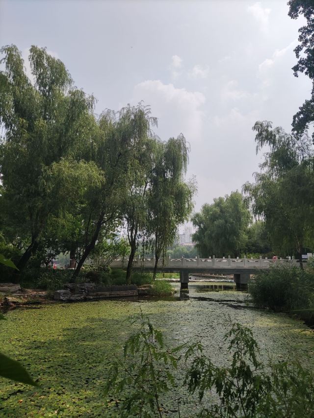 柳荫公园旅行图片 14