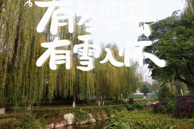 雍湖公园旅行图片 2