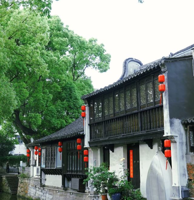 新场古镇旅行图片 2