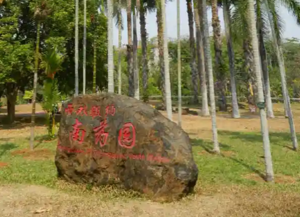 西双版纳南药园旅行图片 5