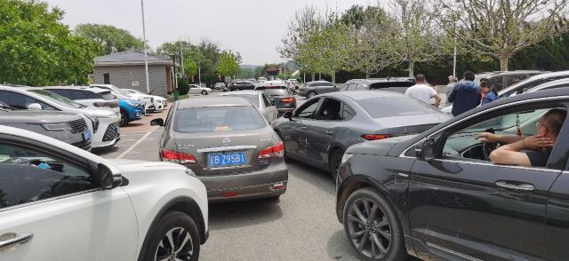 夏家河子海滨景区旅行图片 5