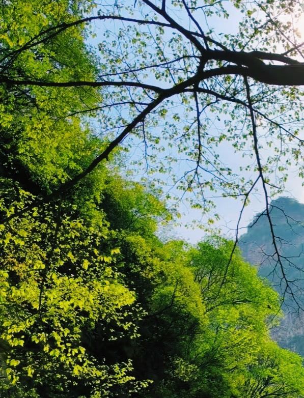 平山沕沕水生态风景区游玩攻略简介,平山沕沕水生态风景区门票/地址/图片/开放时间/照片/门票价格【携程攻略】
