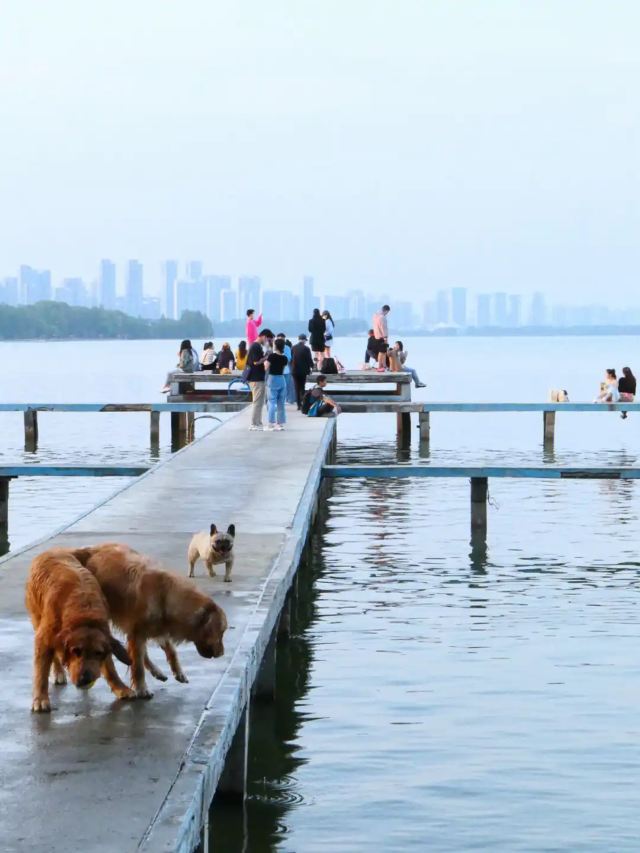 凌波门旅行图片 3