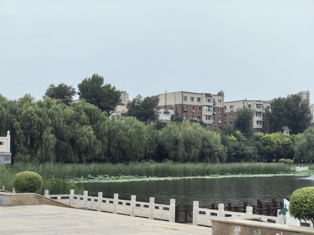 劳动公园旅行图片 6