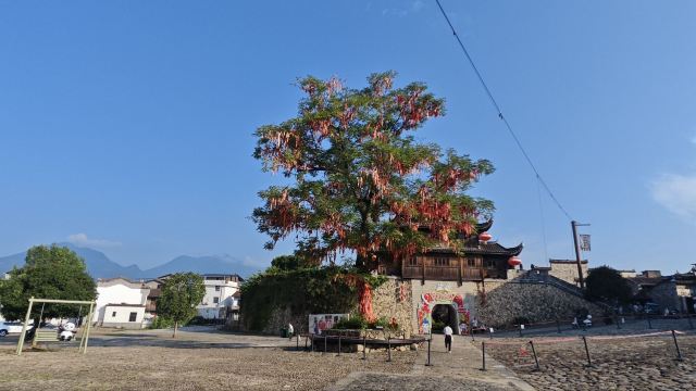 和平古镇旅行图片 4
