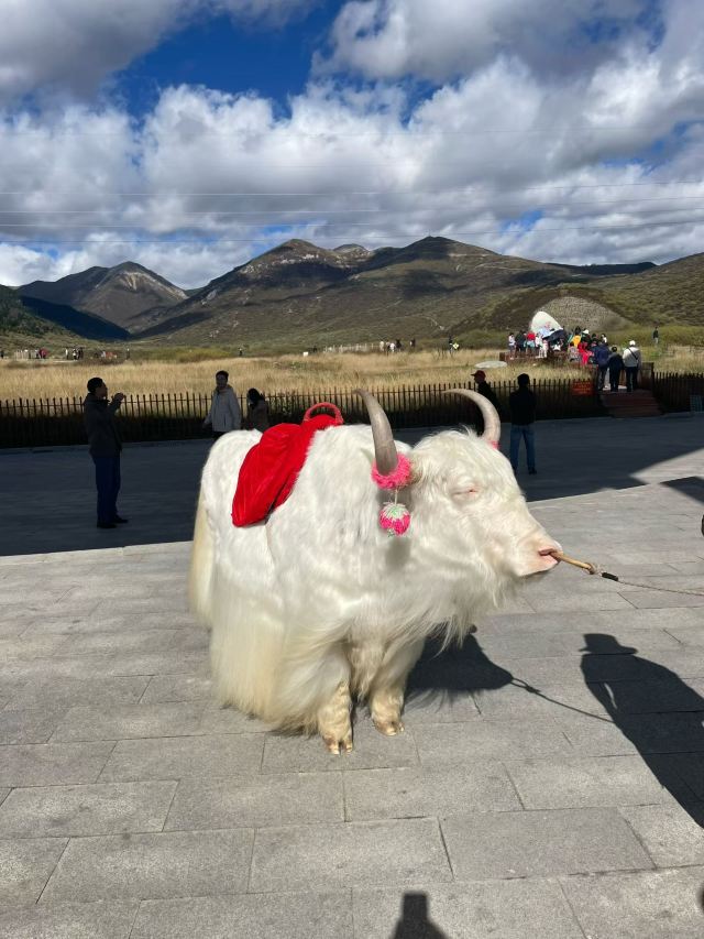 岷江源国家湿地公园旅行图片 1