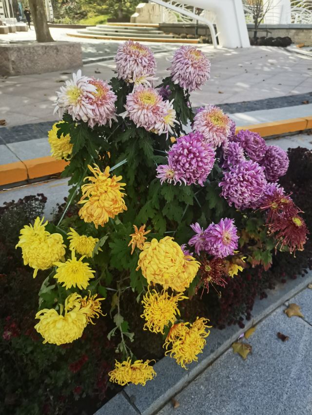 庆丰公园旅行图片 3