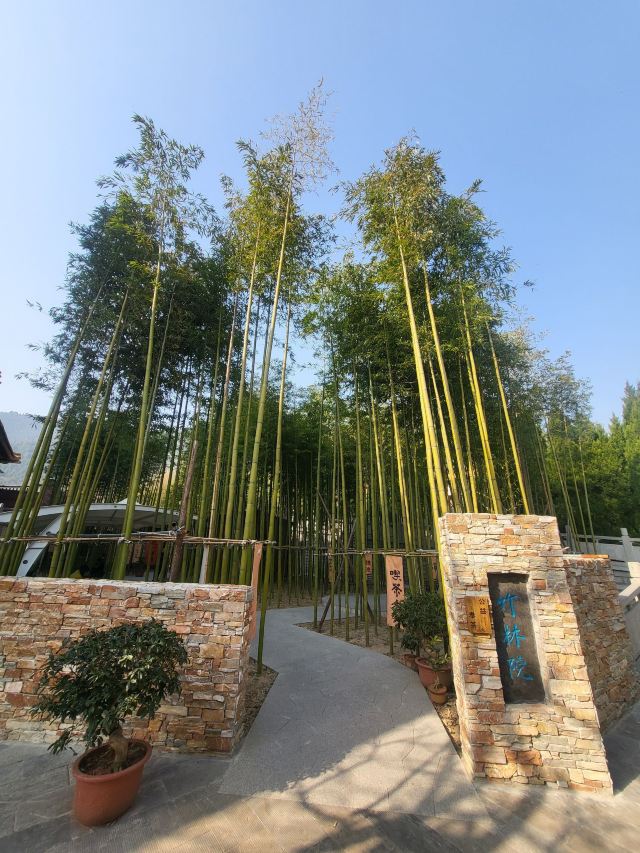 龙兴寺旅行图片 3