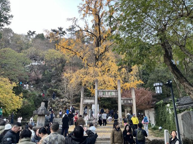 亭林园旅行图片 6