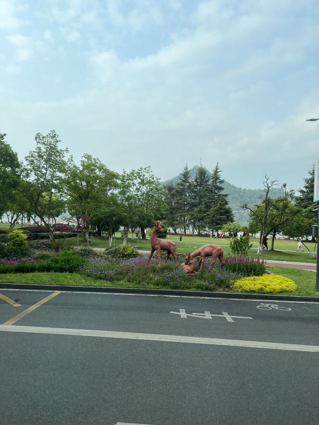 磨基山森林公园旅行图片 2