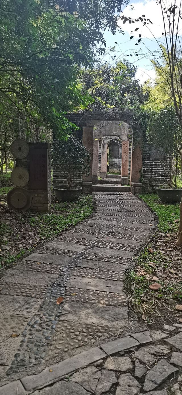 老木棉·紫园景区旅行图片 1