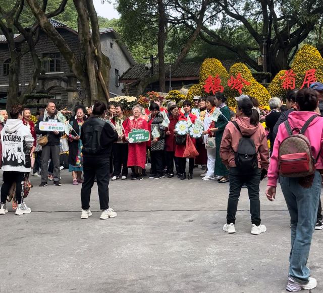 鹅岭公园旅行图片 2