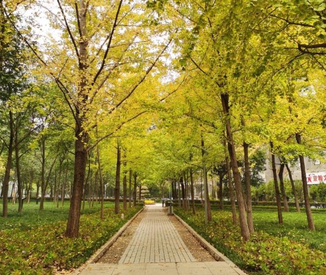 旺山公园旅行图片 1