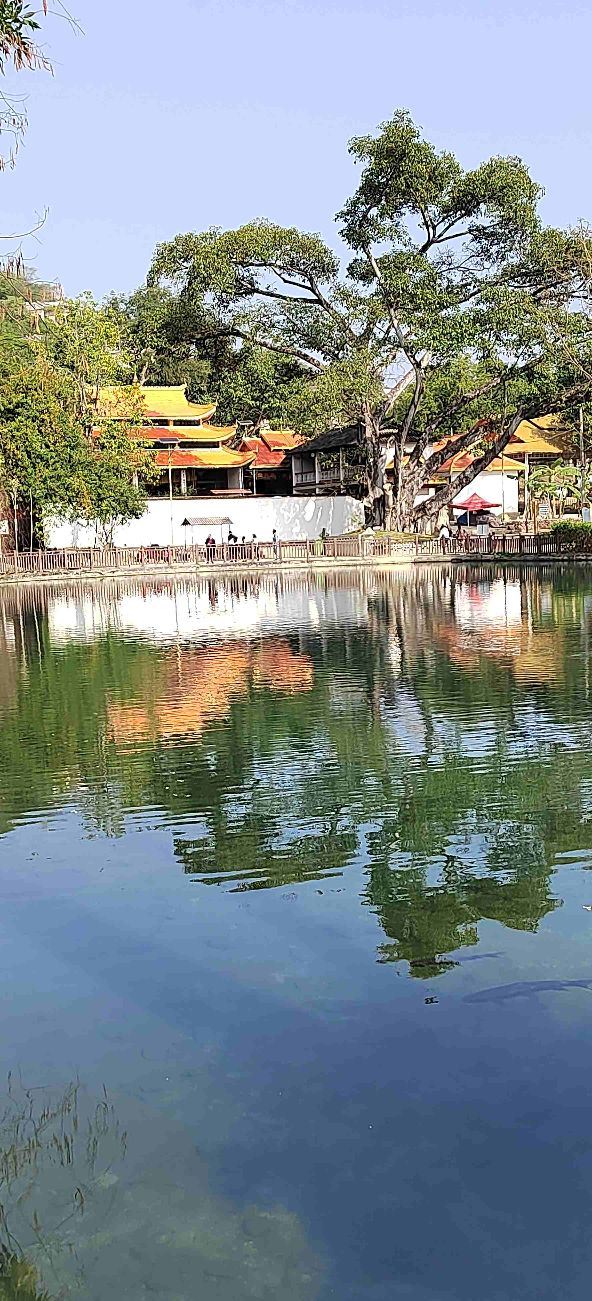 高黎贡国际精品咖啡文化园景区旅行图片 4