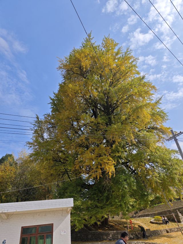 龙里油画大草原旅行图片 2