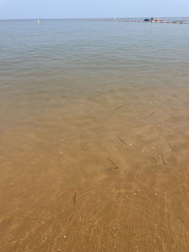 半月湾公园旅行图片 2