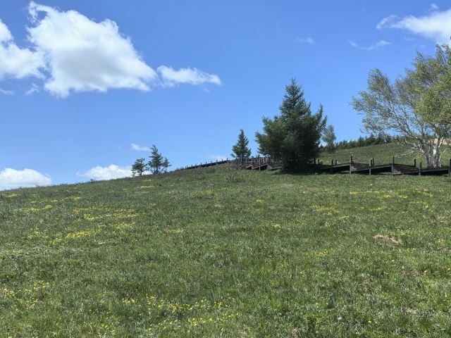 黄岗梁国家森林公园旅行图片 11