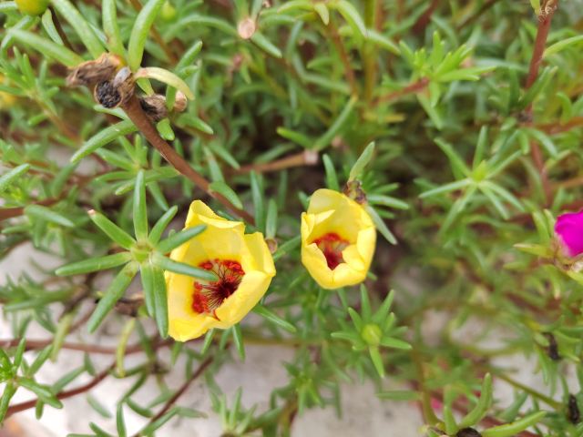 丽景门景区旅行图片 3
