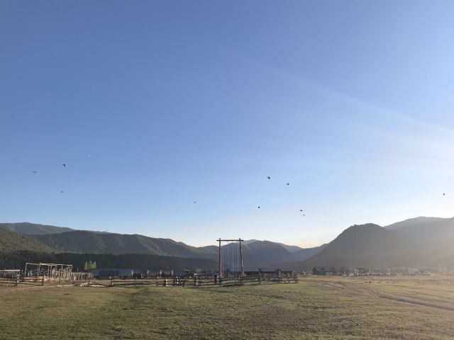洪巴斯大草原旅行图片 7