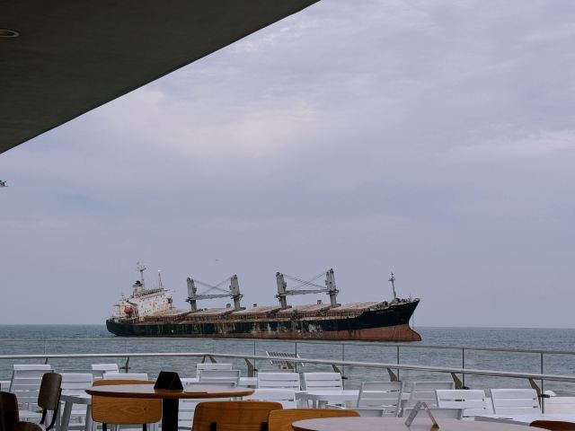 布鲁威斯号搁浅巨轮旅行图片 1