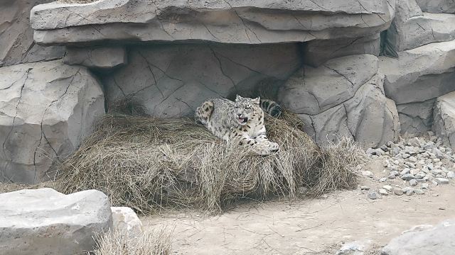 西宁野生动物园旅行图片 1
