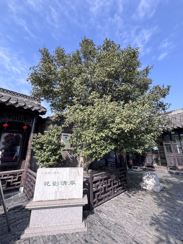 溱潼古镇旅游区旅行图片 1