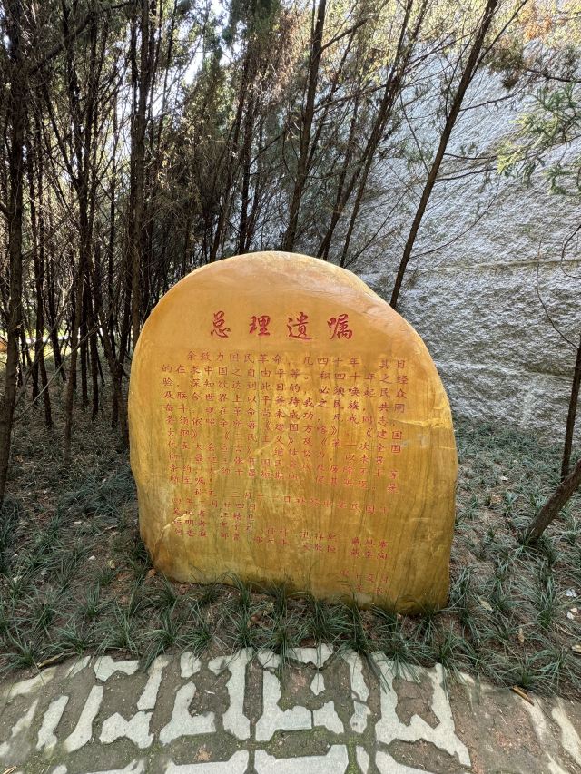 中山公园旅行图片 9