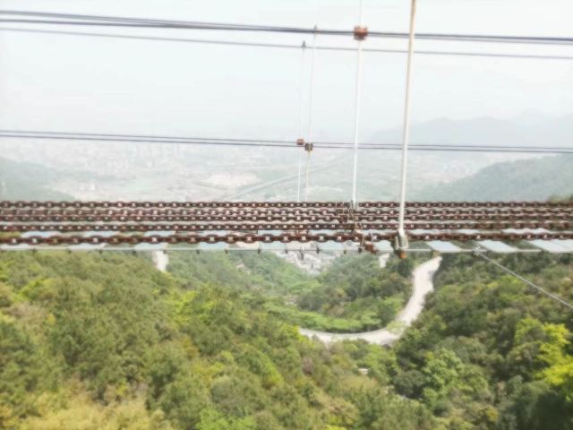 云顶草上世界旅行图片 2