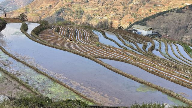 新山梯田旅行图片 12