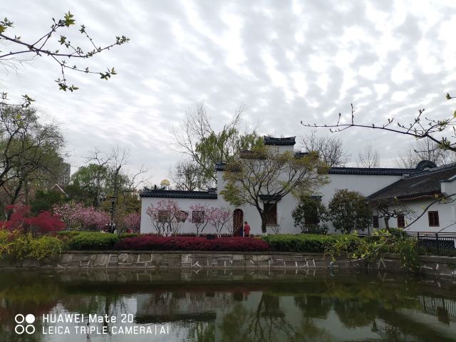 闸北公园旅行图片 14