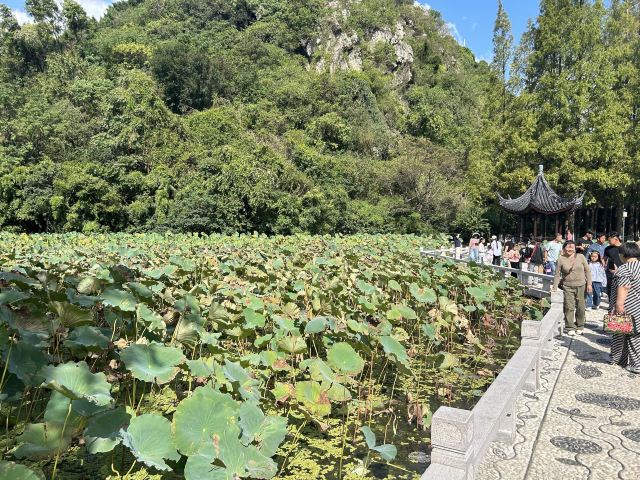 亭林园旅行图片 2