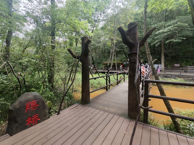 茅兰沟国家森林公园(暂停开放)旅行图片 5