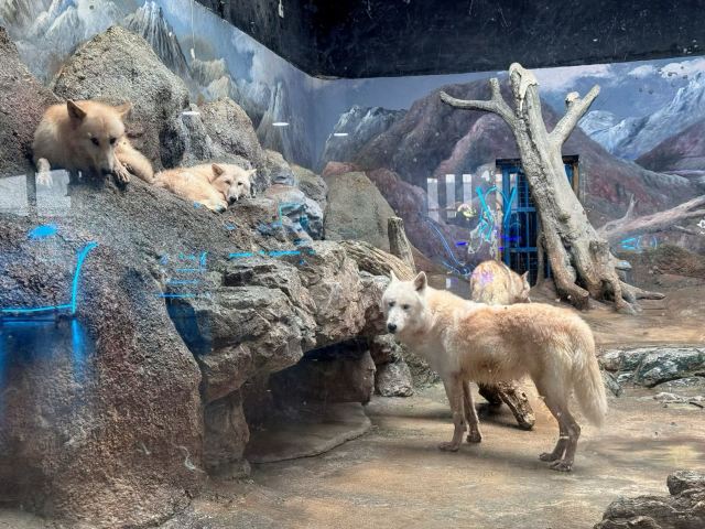 曲江海洋极地公园旅行图片 3