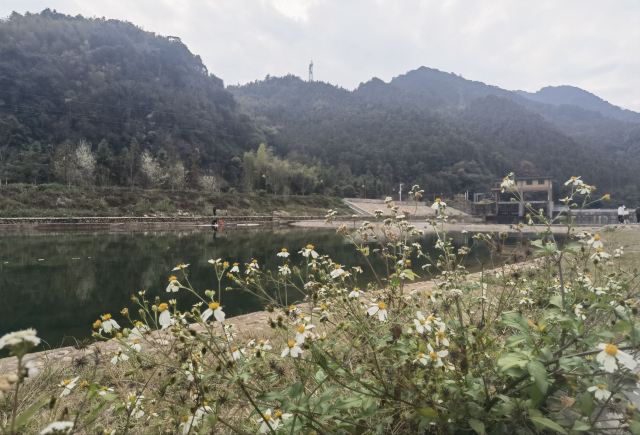 洛神谷旅行图片 4