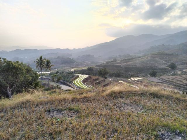 牙胡梯田景区旅行图片