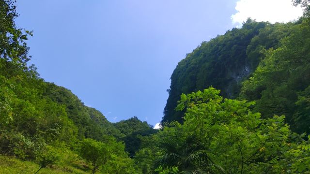 夏冰洞旅行图片 1
