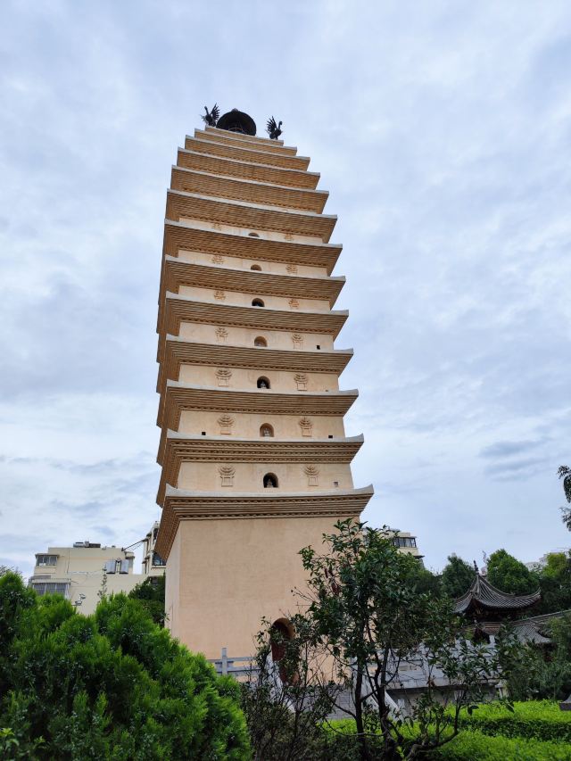 东寺塔茶花园旅行图片 1