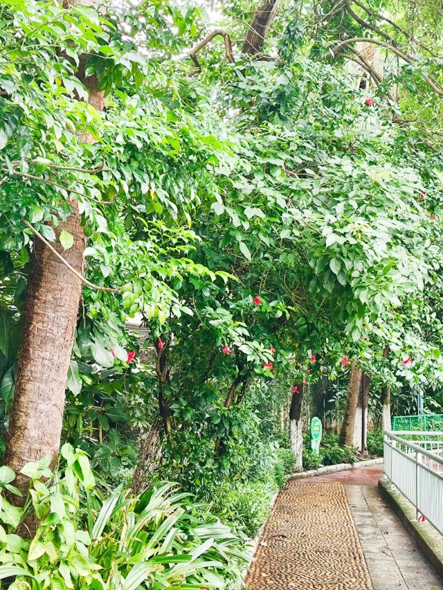 玉林市人民公园旅行图片 10