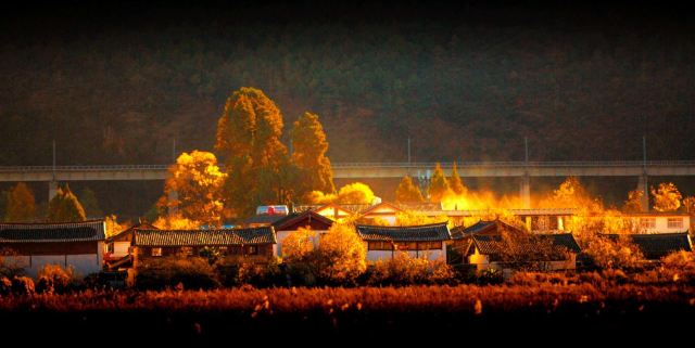 丽江四季花开景区旅行图片 7