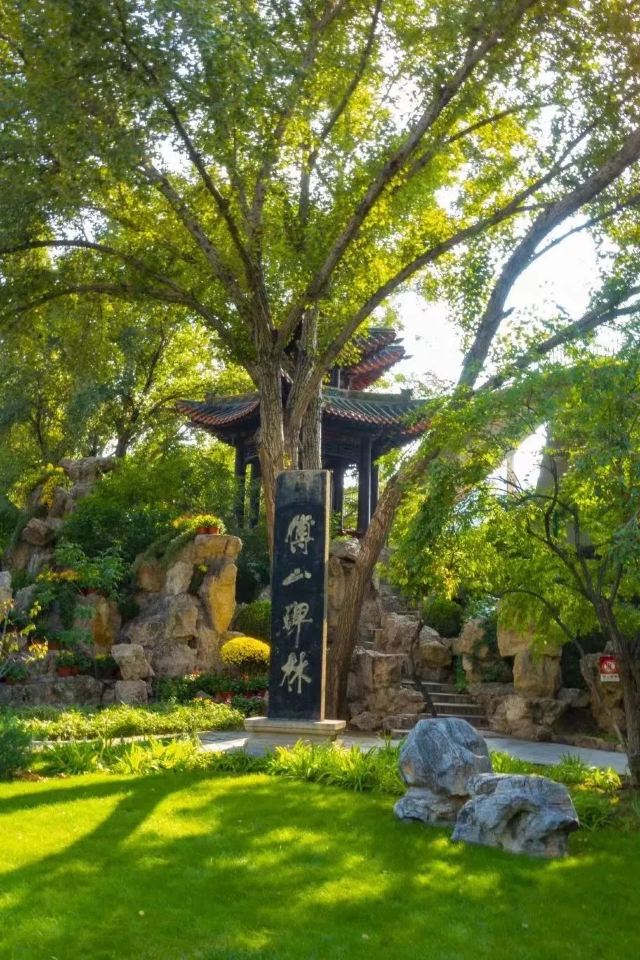 碑林公园旅行图片 3
