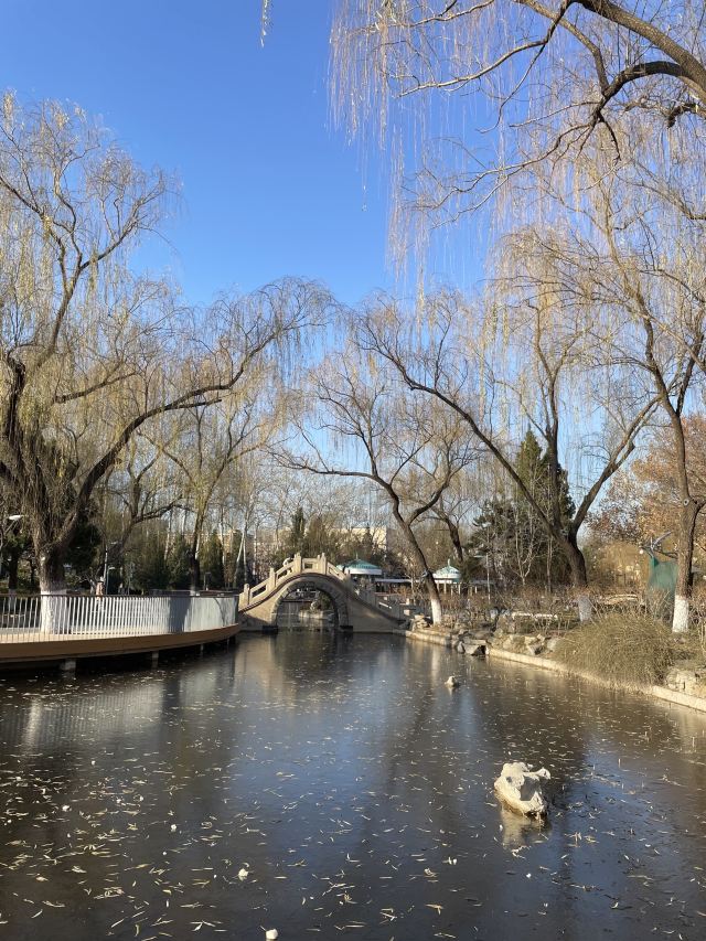 陶然亭旅行图片 3