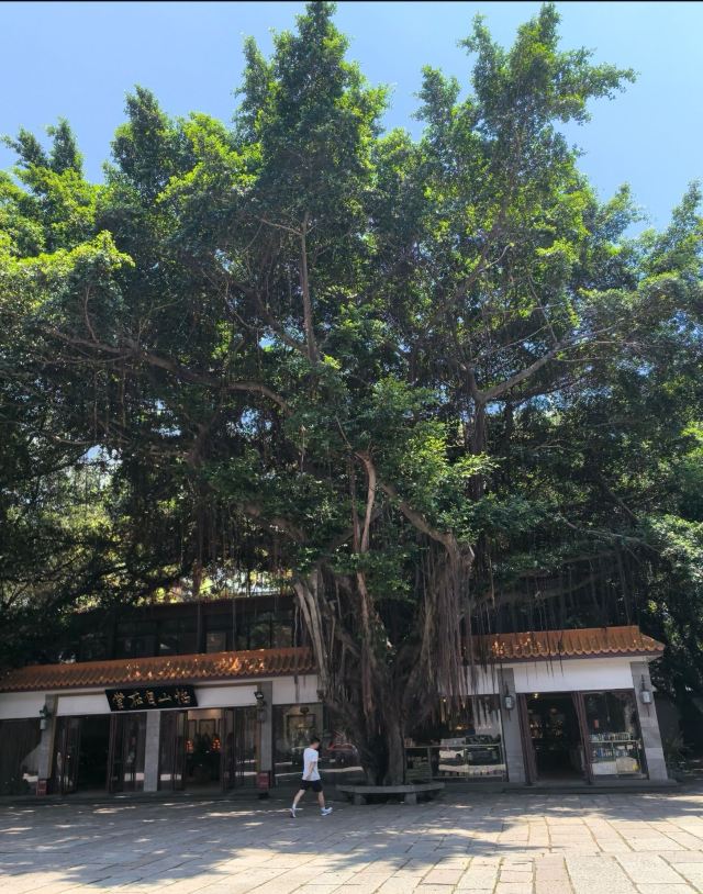 西禅古寺旅行图片 4