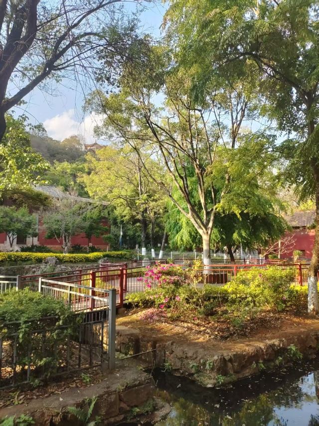 玉溪九龙池古建筑群-九龙宫旅行图片 2