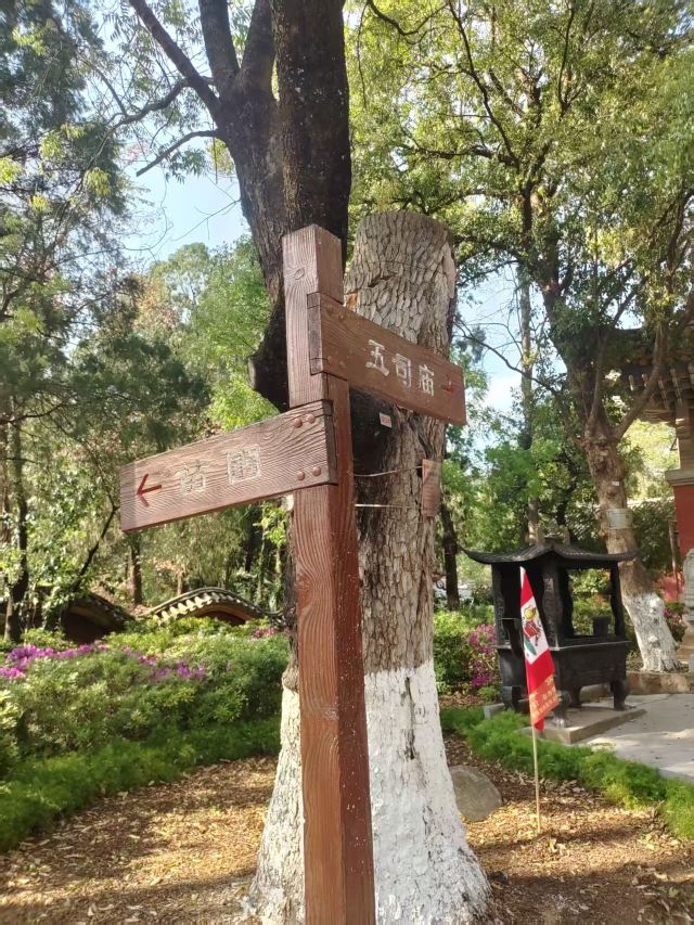 玉溪九龙池古建筑群-九龙宫旅行图片 2