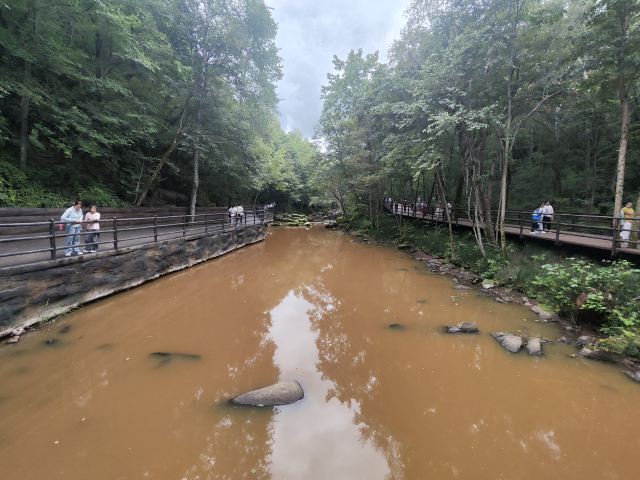茅兰沟国家森林公园(暂停开放)旅行图片 6