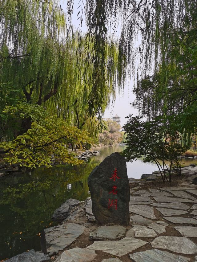 未名湖旅行图片 1