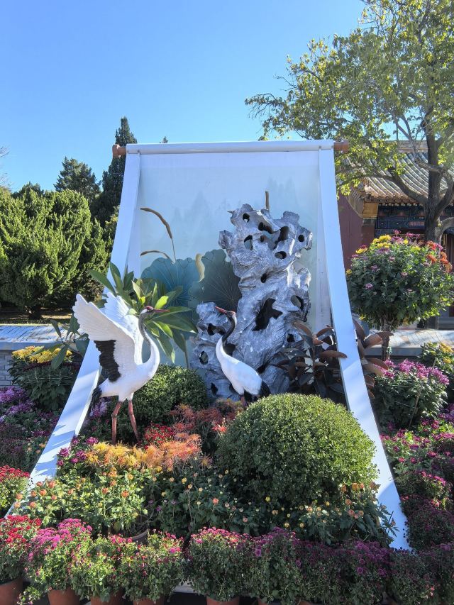 北海公园旅行图片 12