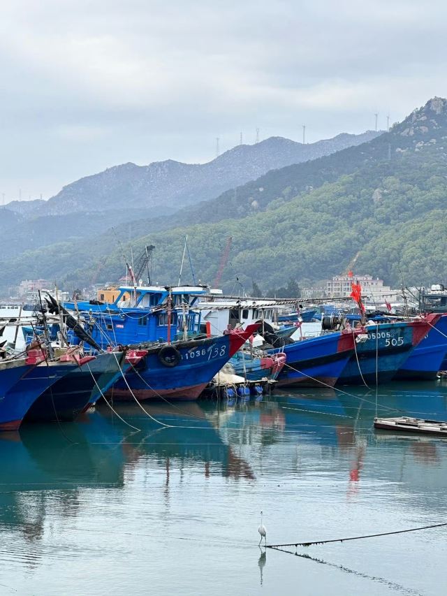 南澳岛生态旅游区旅行图片 4