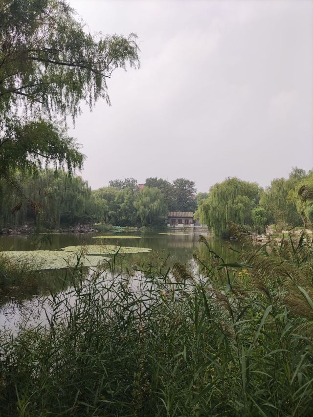 柳荫公园旅行图片 2