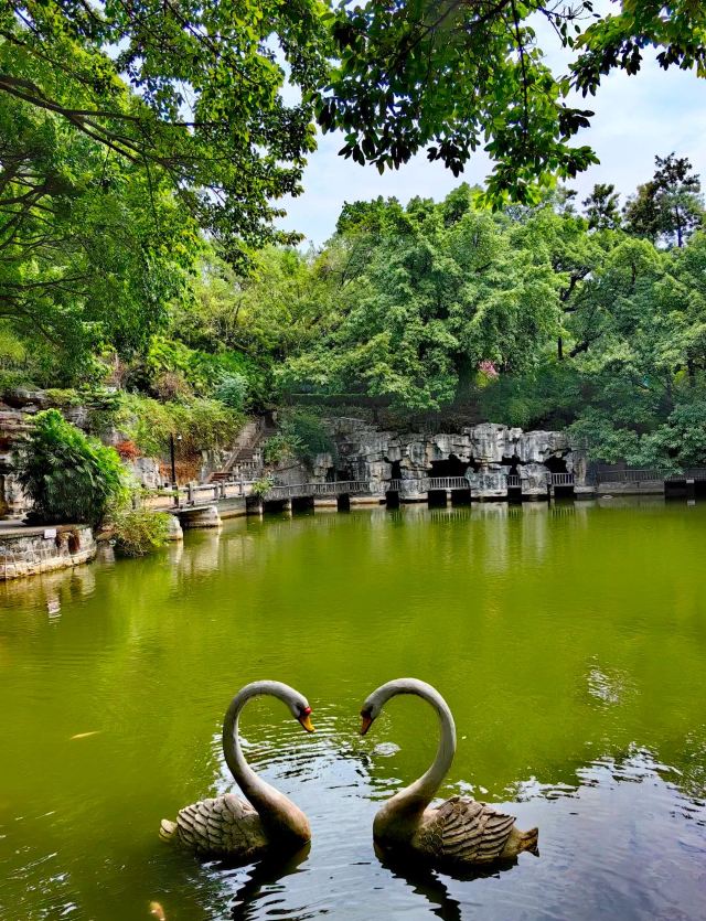 鹅岭公园旅行图片 1
